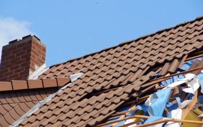 Things to Know About a Storm Damaged Roof