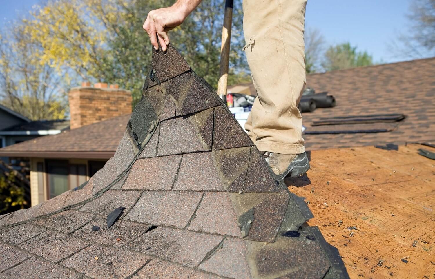 Top 10 Best Roofers Mesa