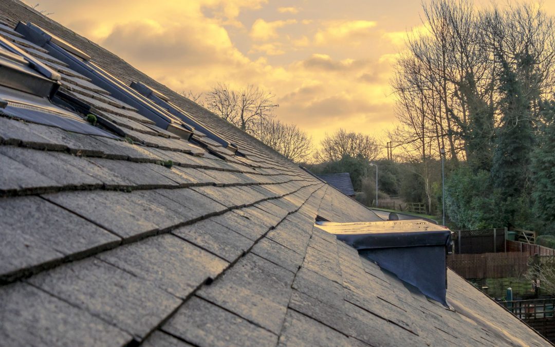 The Dangers of Insufficient Ventilation: How to Protect Your Roof from Rotting