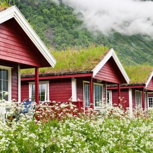 Green Roof