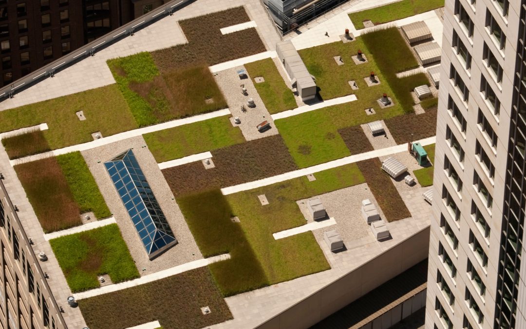 Green Roofs: Enhancing Sustainability and Energy Efficiency