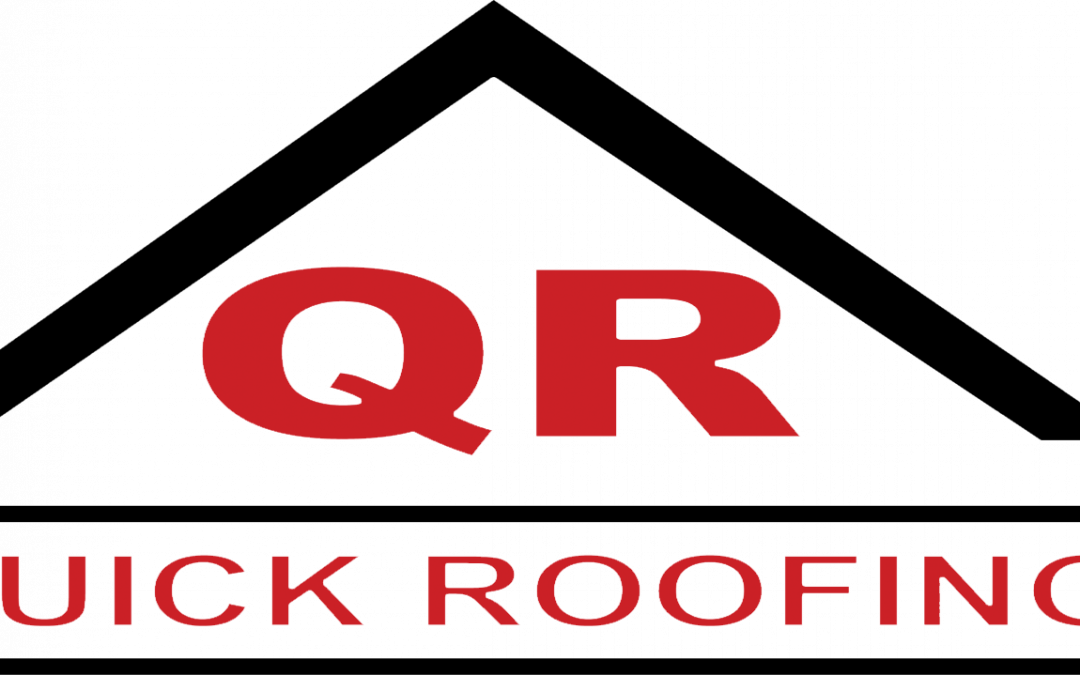 What You Should Know Before Switching to a Steel Roof