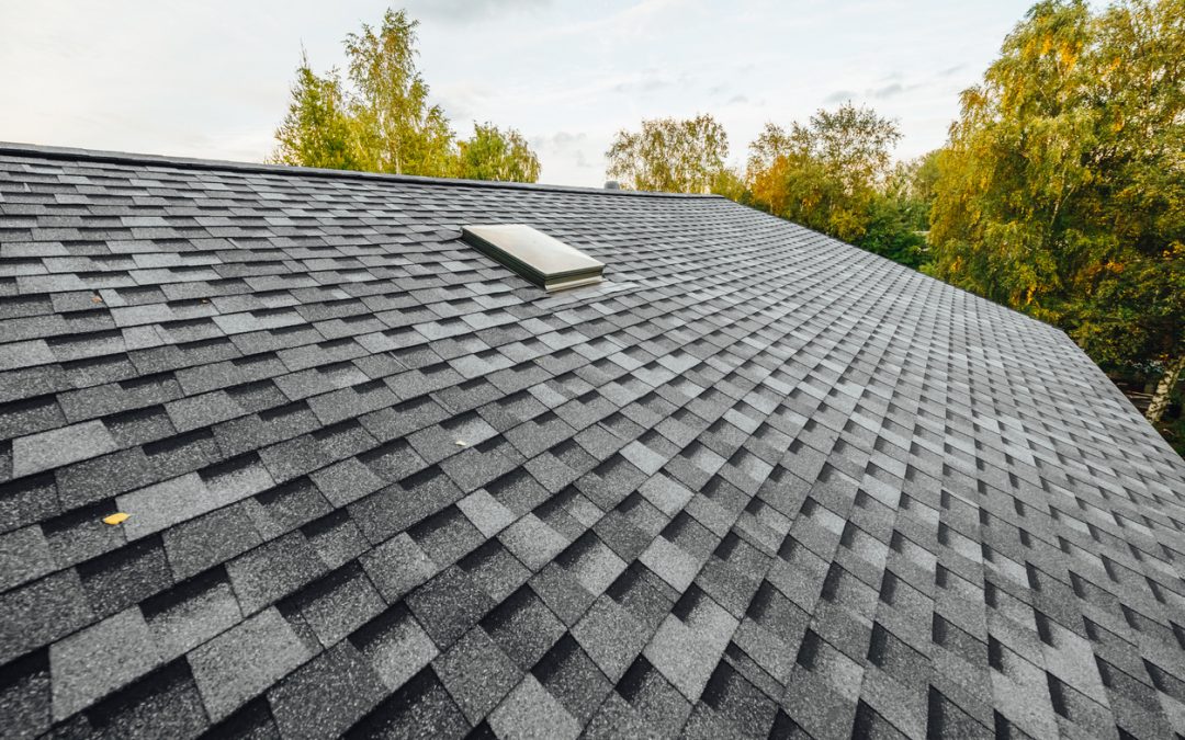 Flat Roof vs. Pitched Roof: Which One is Right for Your Home? 