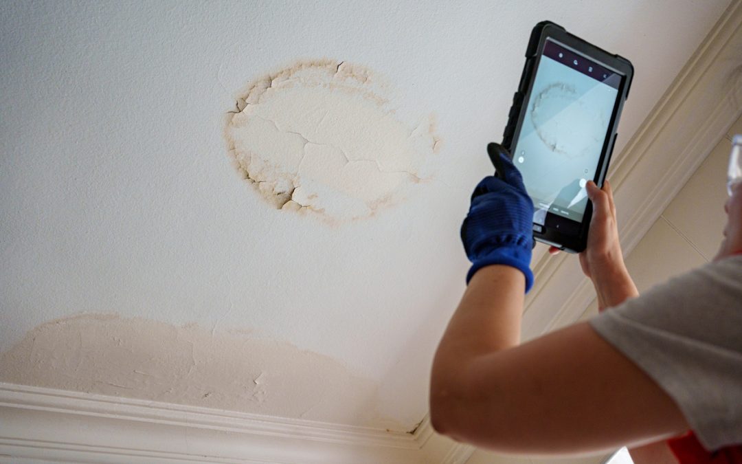 Guide to Removing Mold from Your Home’s Roof